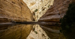 Nationalpark Avdat