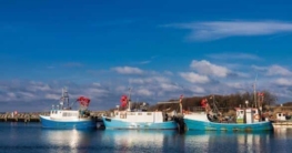 Fischerboote auf der Insel Poel