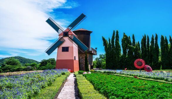 Windmühle auf Usedom
