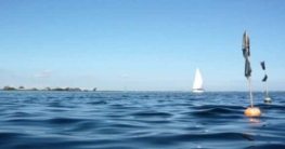 Meer bei Heiligenhafen