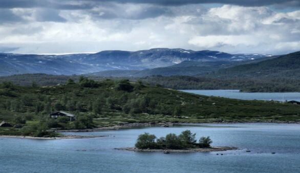Buskerud