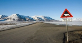 Svalbard