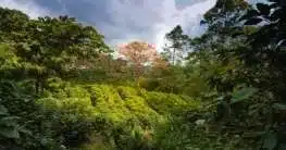 Costa Rica