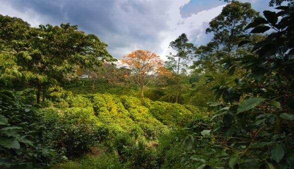 Costa Rica