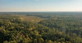 Urwälder in Polen