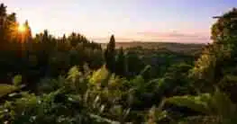 San Miniato