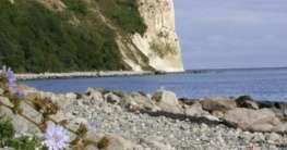 Rügen
