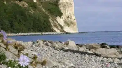 Rügen