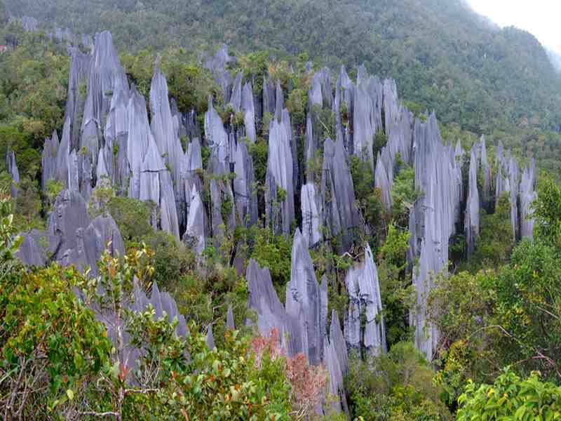 Mulu Nationalpark