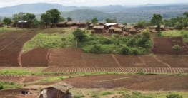 Malawi