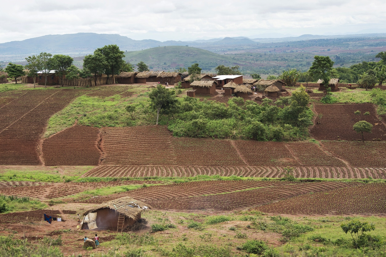 Malawi