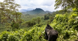 Ruanda