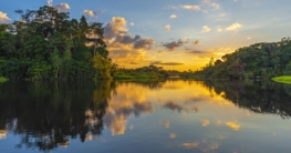 Surinam