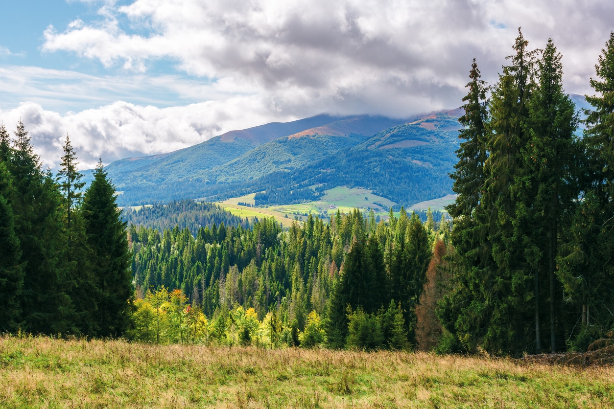 Ukraine