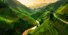 Vietnam