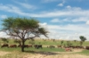 Niger
