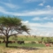 Niger