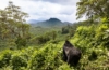Ruanda