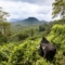 Ruanda