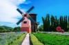 Windmühle auf Usedom