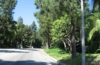 Beverly Hills