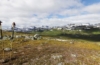 Oppland