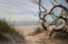 Strand in Prerow