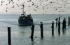 Fischerboot Poel