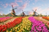 Niederlande