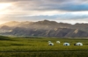 Mongolei